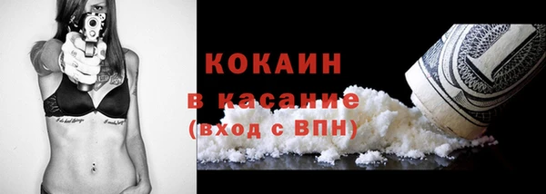 тгк Алексин